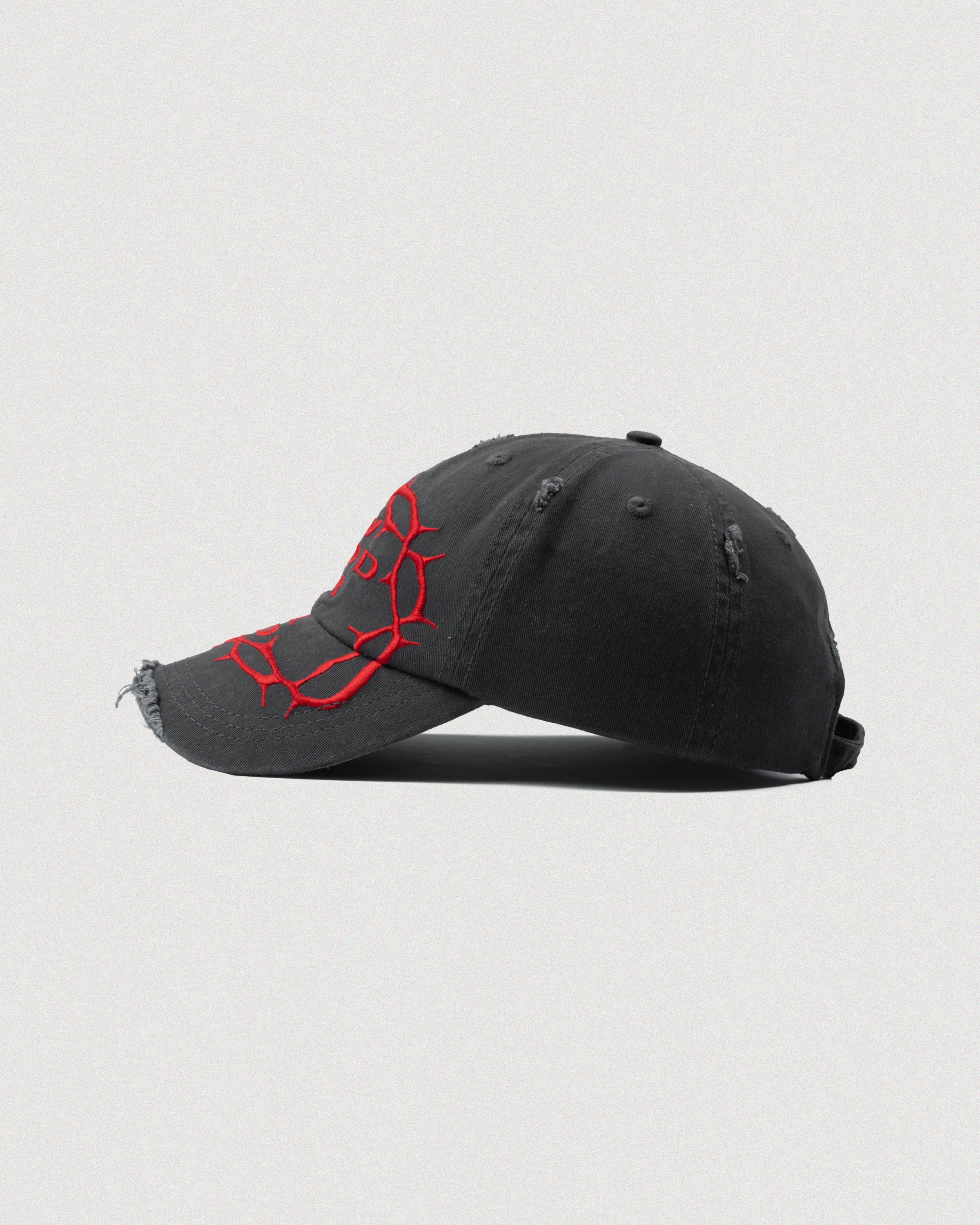 "CROWN OF THORNS" DISTRESSED DAD HAT - Image 4